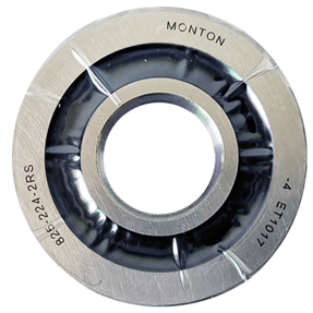 Servo motor bearing